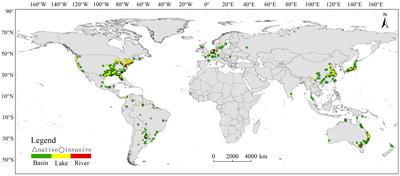 Temperature extremes nip invasive macrophyte Cabomba caroliniana A. Gray in the bud: potential geographic distributions and risk assessment based on future climate change and anthropogenic influences